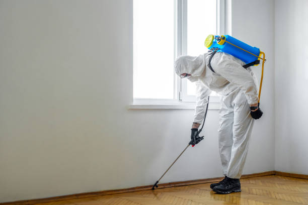 Best Organic or Eco-Friendly Pest Control  in Trenton, MI